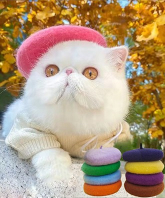 [러비캣] 고양이 미니 베레모 10color